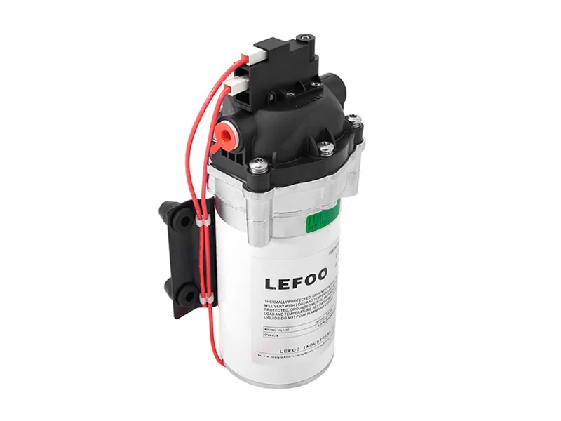 12vdc demand delivery pump lfp0150t fornitore