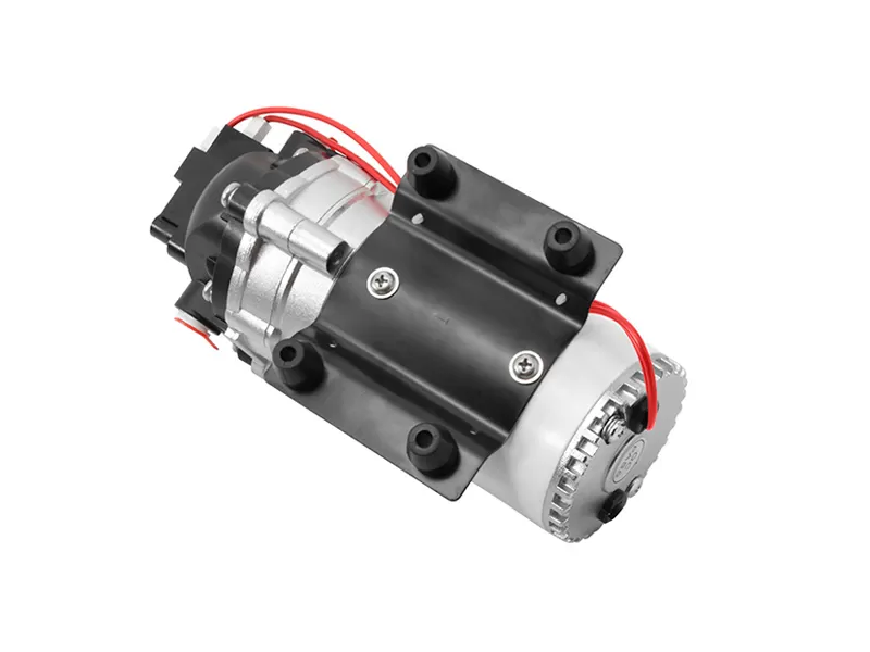 230vac demand delivery pump lfp6060t cost