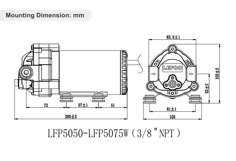 Dimensione