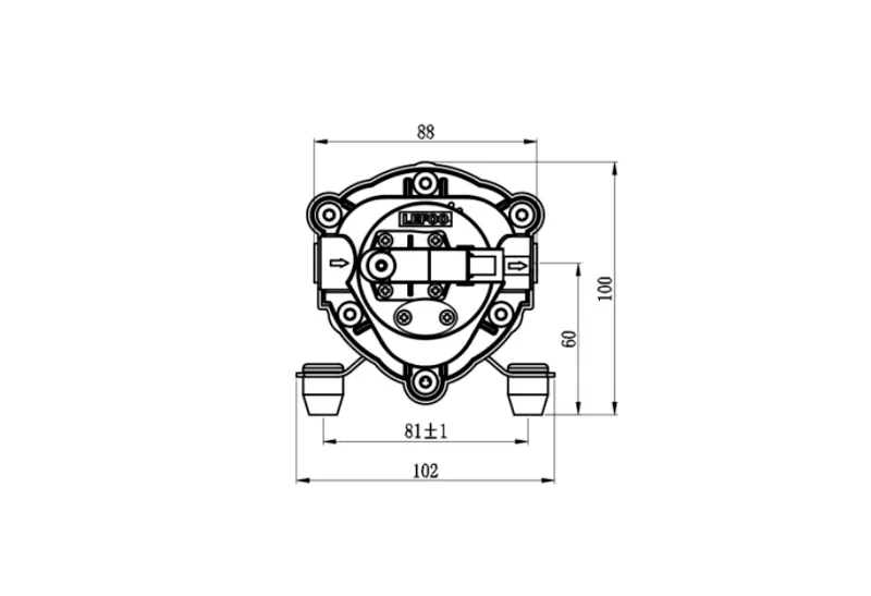 Dimensione