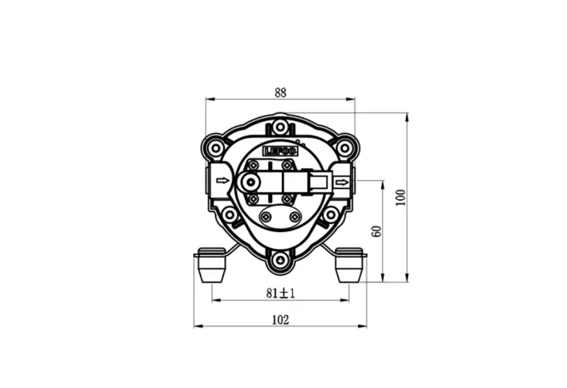 Dimensione