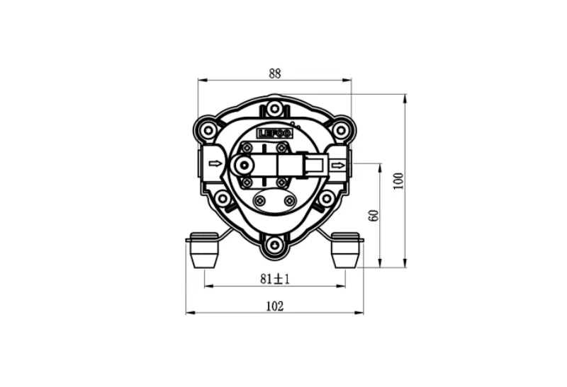 Dimensione