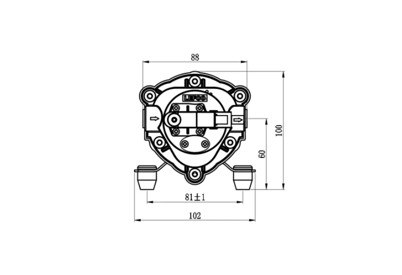 Dimensione