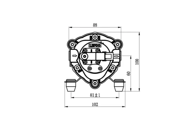 Dimensione