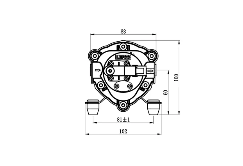 Dimensione