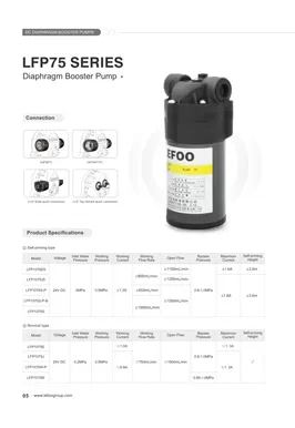 Serie LEFOO 24V 75GPD