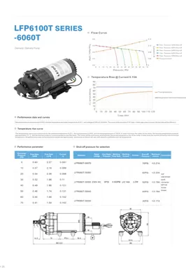 Pompa di mandata su richiesta serie LEFOO LFP6060T